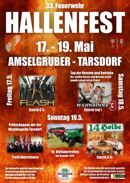 Flyer Hallenfest Tarsdorf 2013